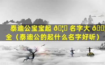 泰迪公宝宝起 🦅 名字大 🐦 全（泰迪公的起什么名字好听）